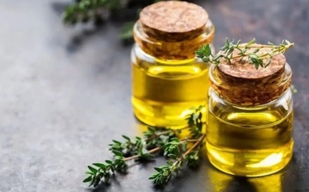 Tự tạo “spa mini” tại nhà với lều xông hơi Xạ Hương – Không cần ra tiệm